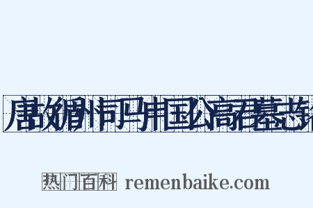 唐故循州司马申国公高君墓志铭是什么意思的图片